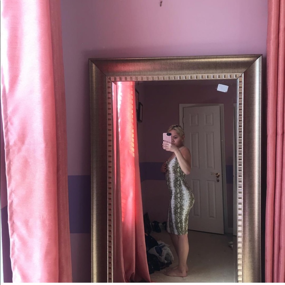 Fashion Nova Snake Skin Dress